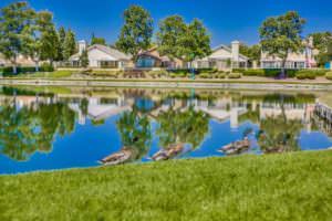 Menifee Dentist