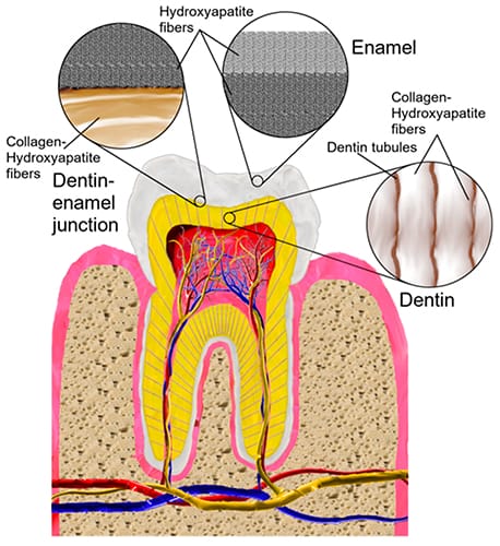 Nanotechnology in Dental Fillings